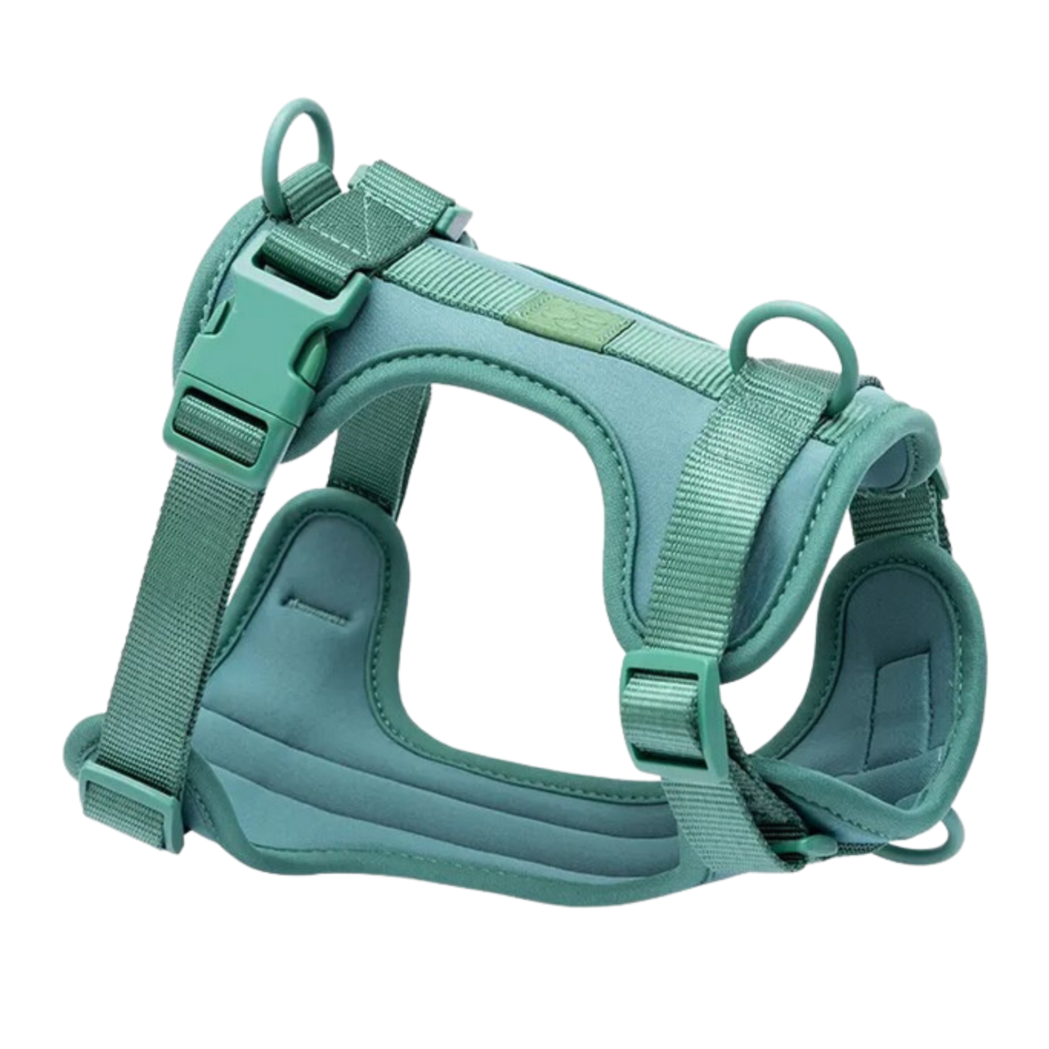 hondentuig groen