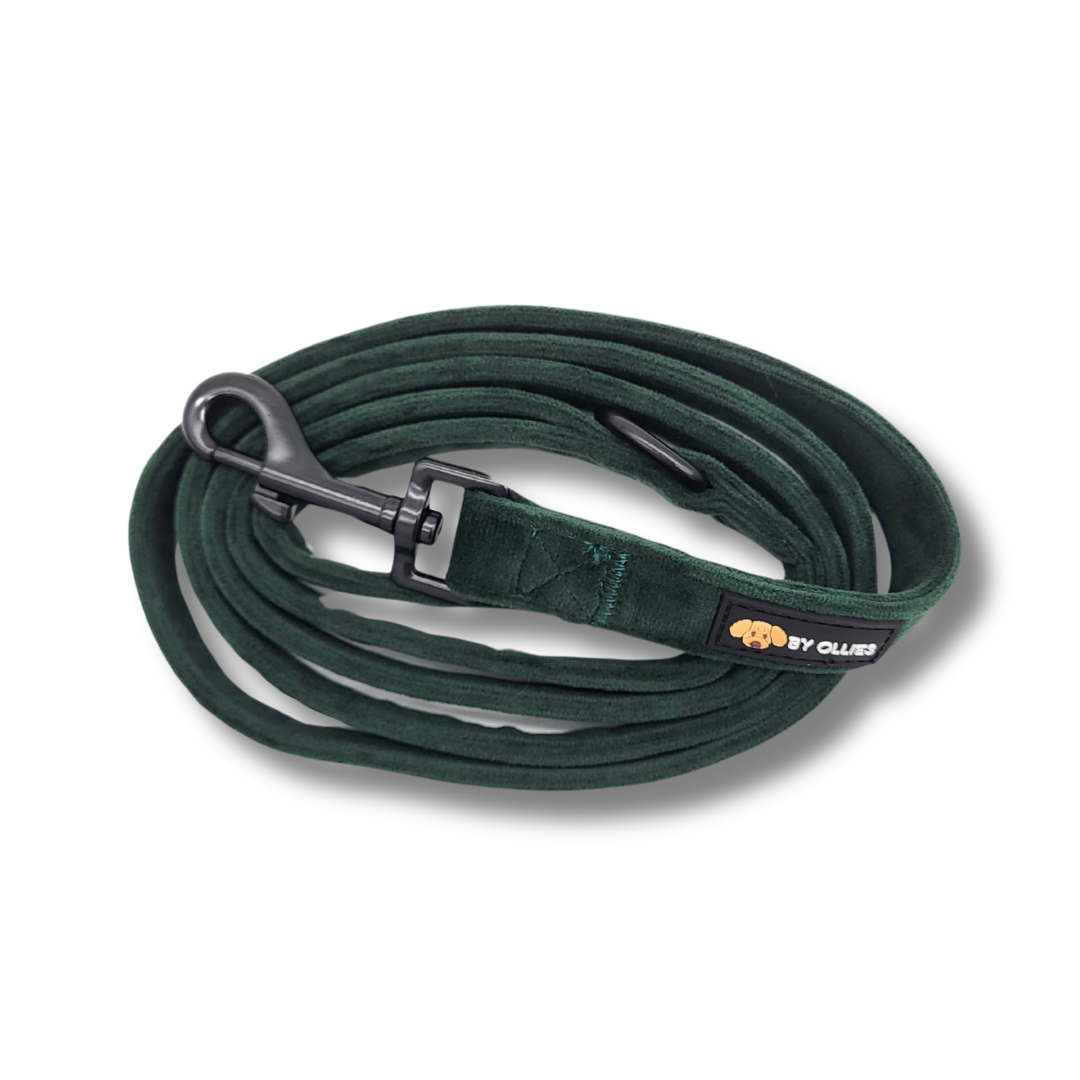 Hondenriem velvet dark green