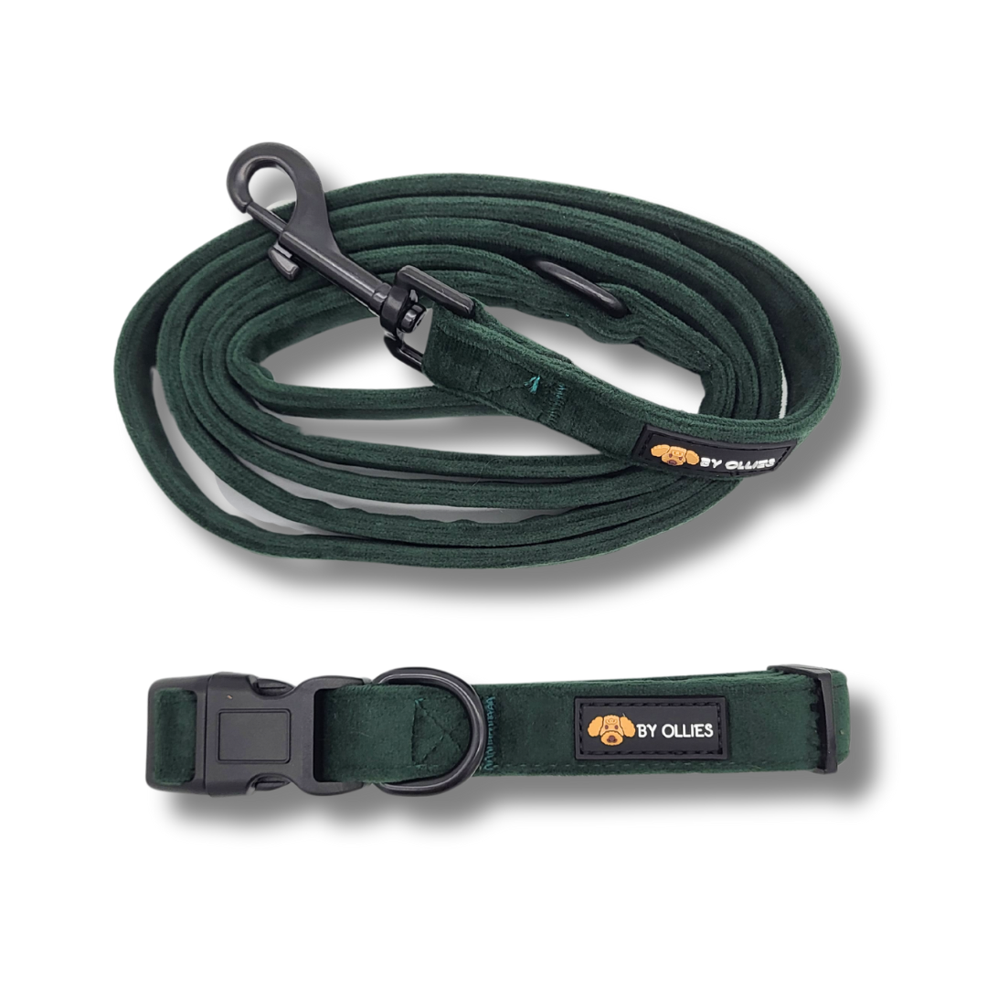 set riem en halsband velvet dark green