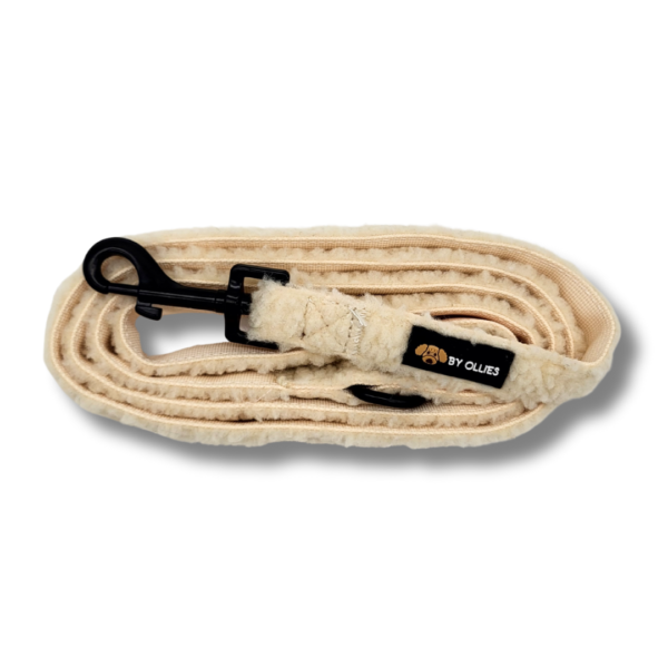 riem teddy cream