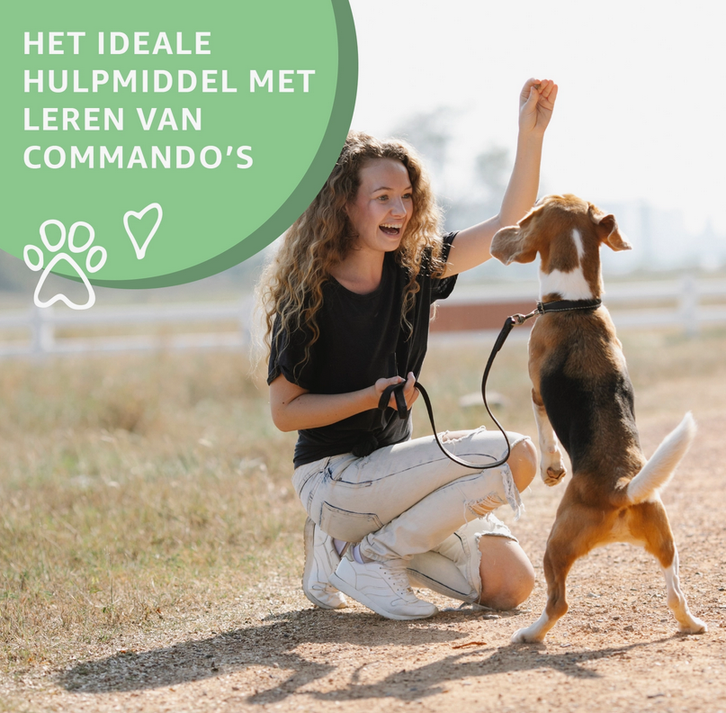 Runderlong trainers - 50 g - Afbeelding 5