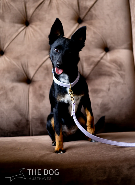the dog musthaves riem lila